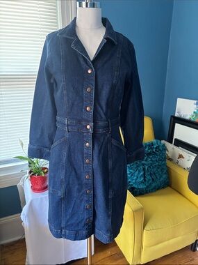 Dark Indigo Denim Button-Front Dress